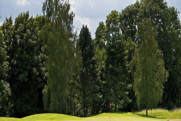 Golf Mont Griffon3
