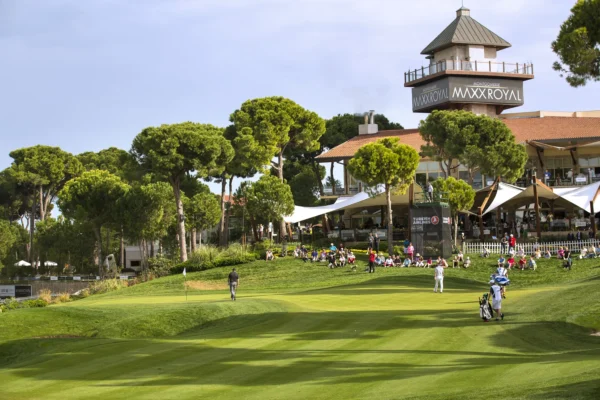 Montgomerie Maxx Royal