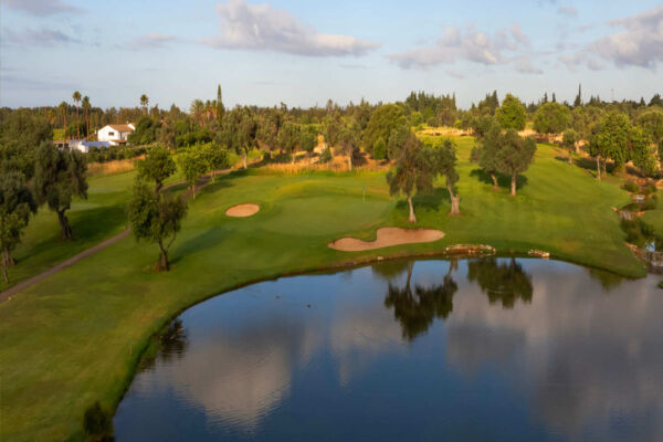 Quinta De Cima 11