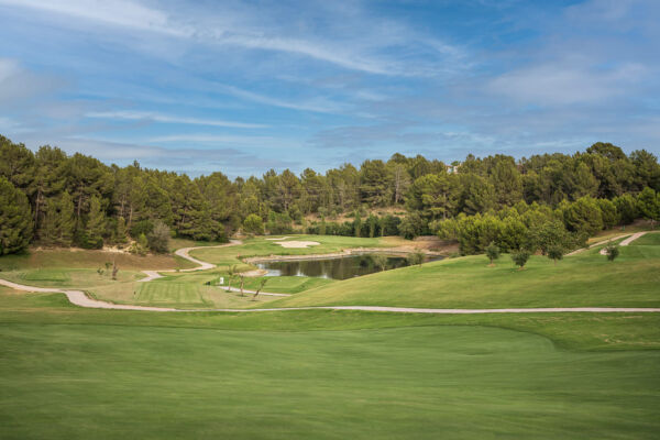 Golf Son Quint 00012