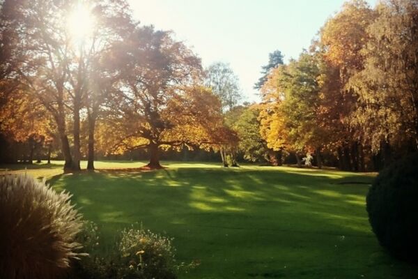 Orleans Donnery Golf Club2