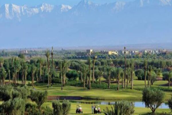 Fairmont Royal Palm3