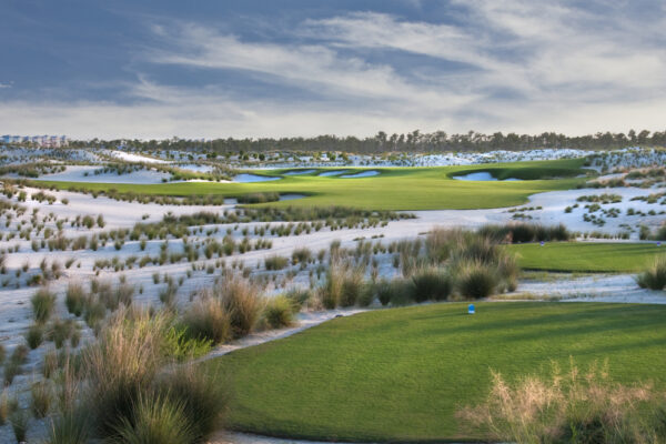 Albany Gallery 7th Hole