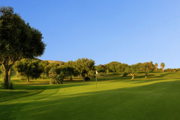 Golf Capdepera Gallery Golfcourse 6 1