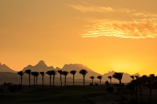 Madinat Makadi Golf2