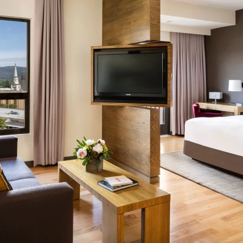 Andaz Napa1