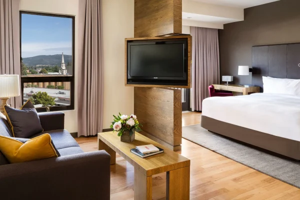Andaz Napa1