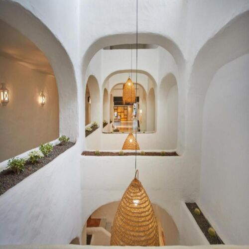 Jardin Tropical Interior