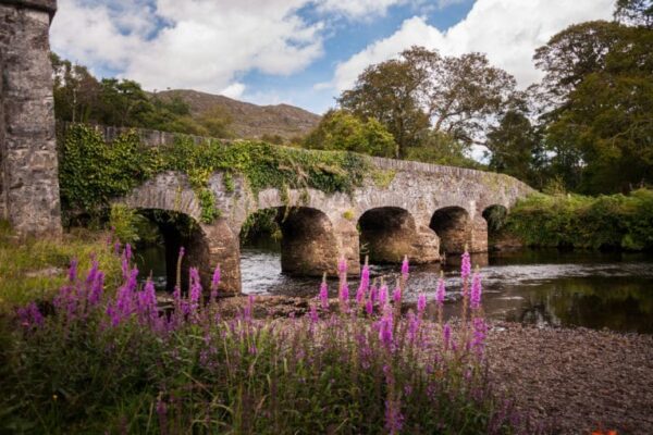 Killarney Ireland Cahernane House Hotel 768x510 1