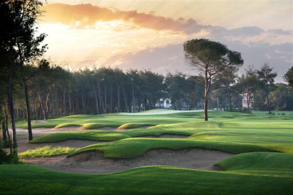Montgomerie Golf 1