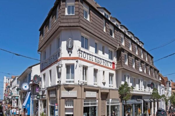 Red Fox Le Touquet1