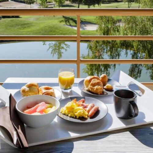 Mercure Orleans Golf Hotel 8