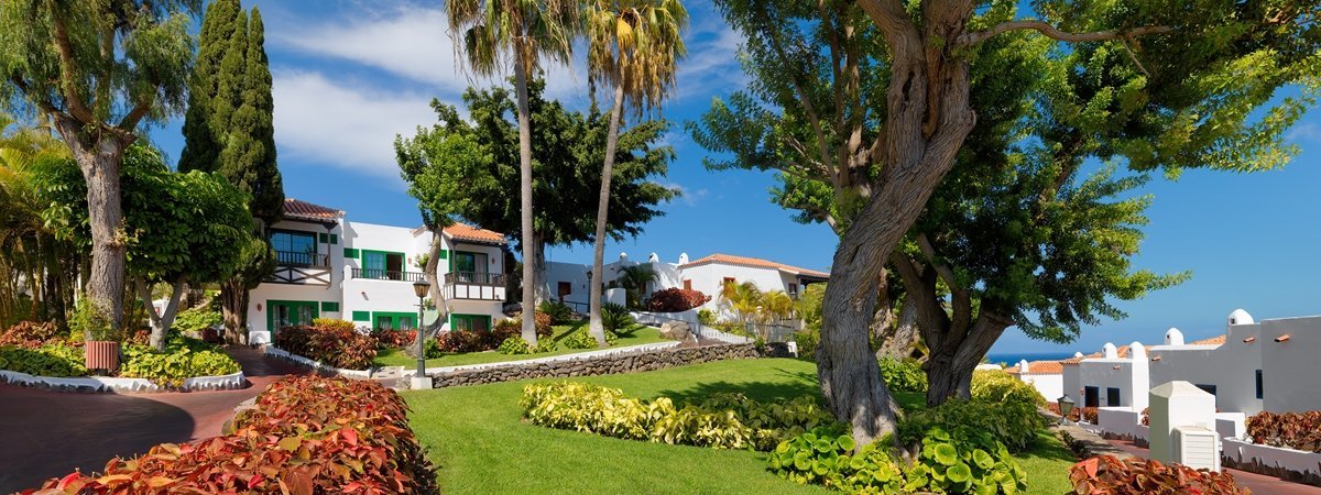Swing into Spring in the Canaries