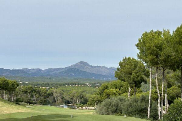 T Golf Calvia