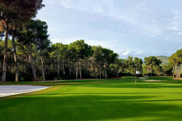 T Golf Calvia2