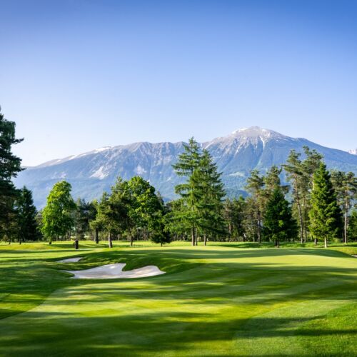 Royalbled Golf9
