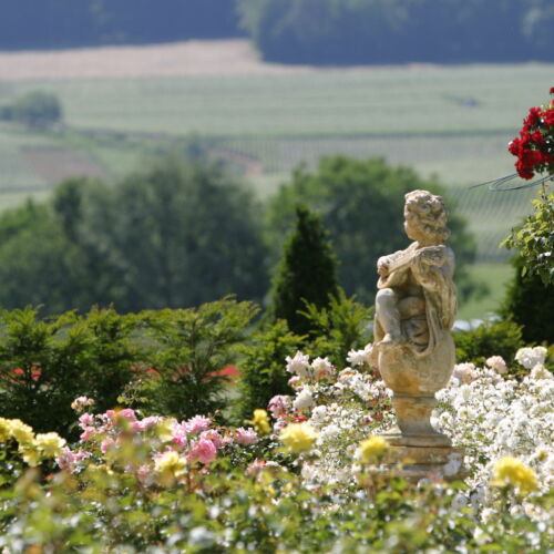 Briquet Garden