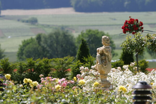 Briquet Garden