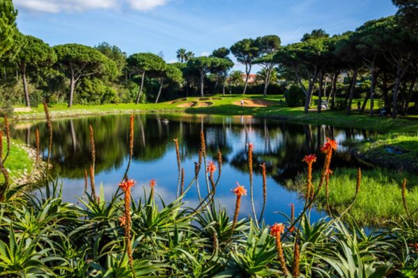 Quinta De Marinha New 21