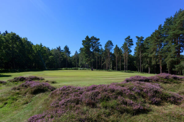 Royal Ashdown Golf