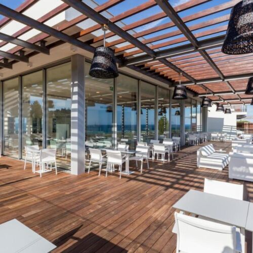 Palmares 8