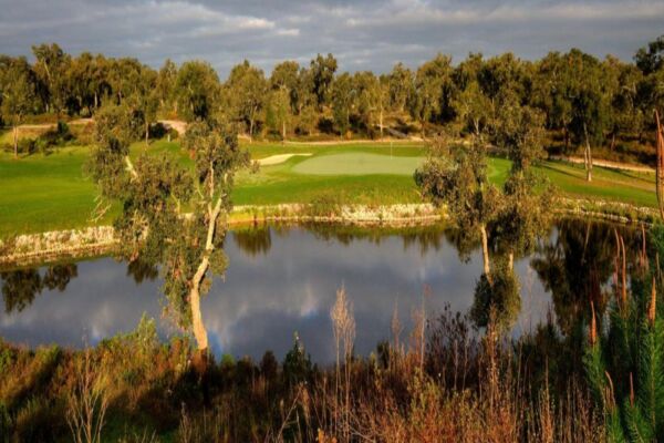 Riba Golfe 2