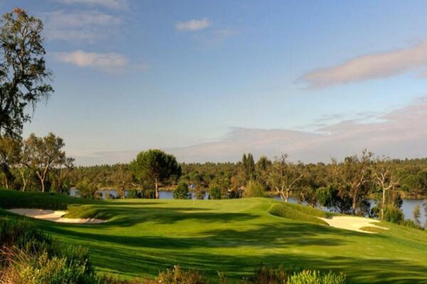Riba Golfe 3