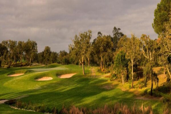 Riba Golfe