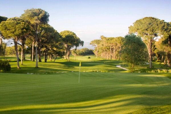 Gloria New + Golf