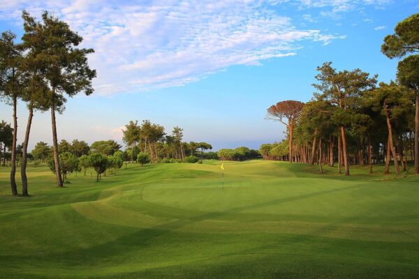 Glorianewcourse6 Golfclub11th H