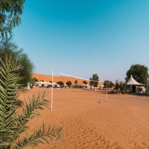 Desert Nights 5