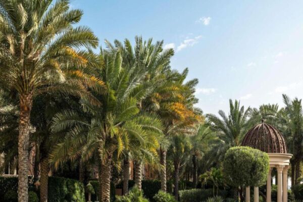 Raffles The Palm 8
